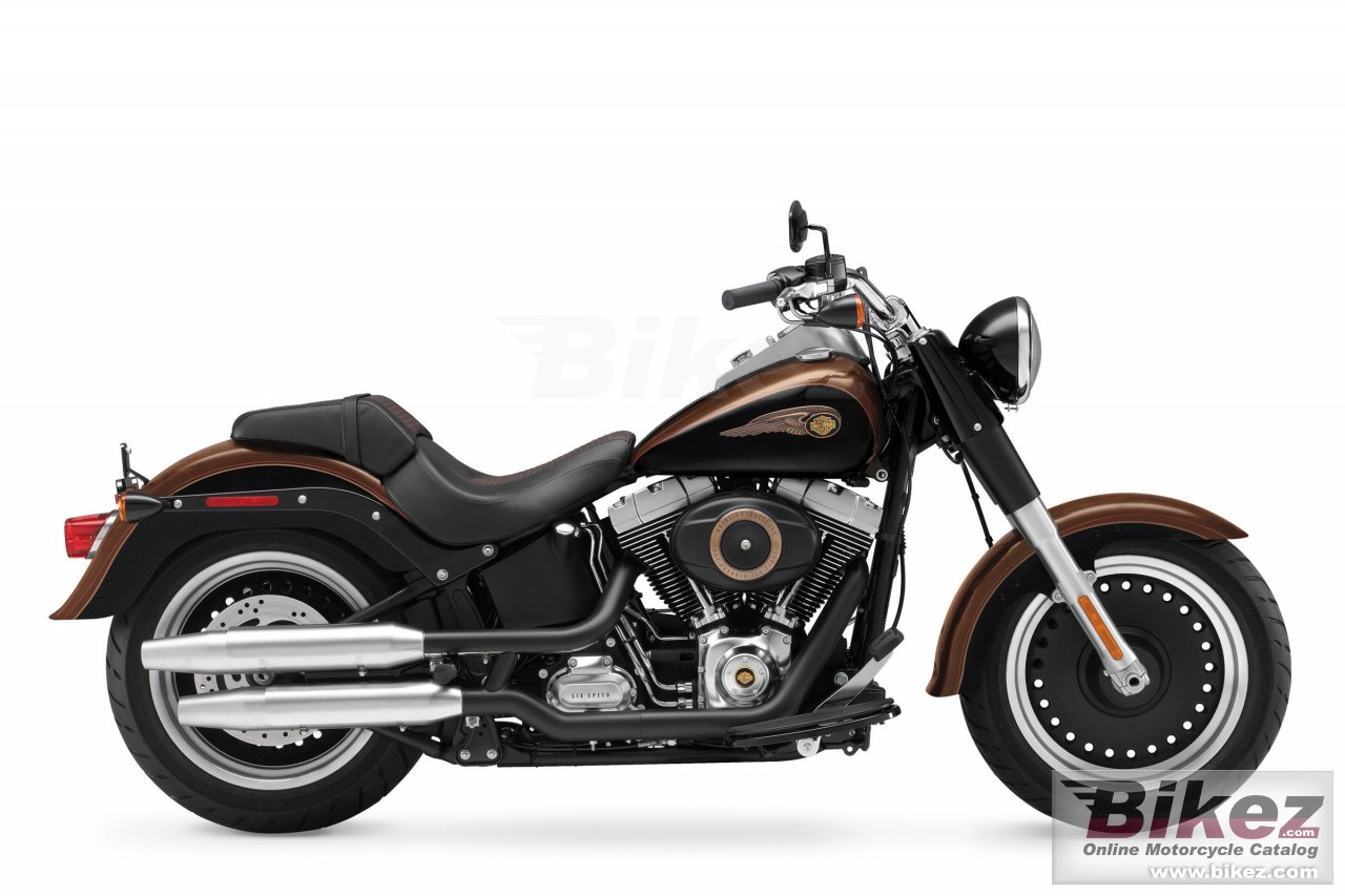 Big Harley-Davidson fat boy lo 110th anniversary picture and wallpaper from Bikez.com